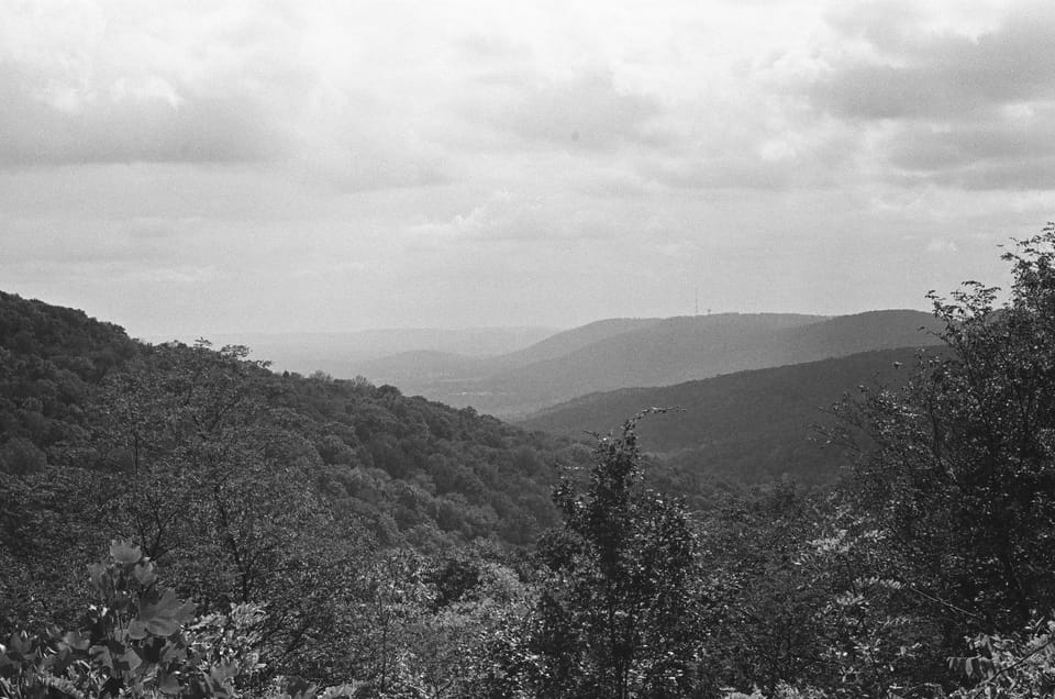 Film Photography and the Analog Mind